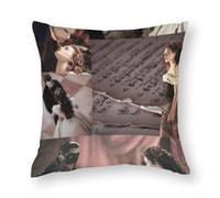 AFLJNYNN The phantom of the opera Throw Pillow Covers Neutral Painted Plush Embroidery Set of 4 for Entryway