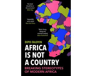 AFRICA IS NOT A COUNTRY by Dipo Faloyin Paperback Self Help Business