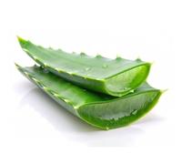 Africa Select (2 Piece) Fresh Aloe Vera Leaf - Natural & Organic - approximately1kg Pack | USDA Certified | Perfect for DIY Gels, Smoothies & Skin Moisturizer