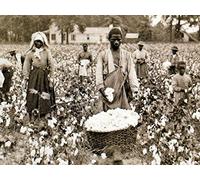 African Americans after Reconstruction