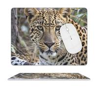 African Animal Leopard Mouse Pad for Office, Leather Mouse Mat with Non-Slip Base, Waterproof Desk Pad Protector for Home, Personalized Mouses Mat for Travel, Outdoor, 10" X 8"