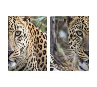 African Animal Leopard Passport Holder for Travel PU Leather Passport Wallet Cover Organize Your Passports & Cards