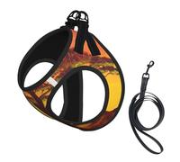 African Animal Sunset print Dog Harness and Leash Set, Reflective Adjustable Puppy Vest for Small Medium Large Dogs, Cats