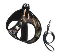 African animals print Dog Harness and Leash Set, Reflective Adjustable Puppy Vest for Small Medium Large Dogs, Cats