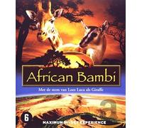 African Bambi