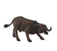 African Buffalo