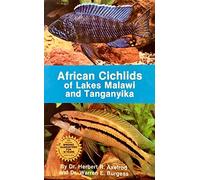 African Cichlids of Lakes Malawi and Tanganyika