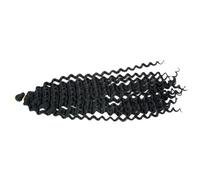 African Dirty Braid Wig for Women Fashion Cool Black | Canicaln Material, Hairstyle Change and Fancy Dress Accessory, Birthday Parties and Pride Events