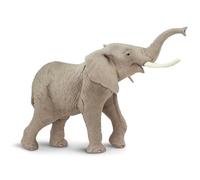 African Elephant