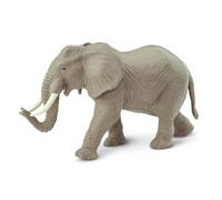 African Elephant