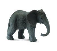 African Elephant Calf