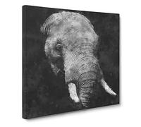 African Elephant Canvas Print | Gallery Wrapped 30mm Frame Wall Art | 14x14 inches | Ready to Hang | Modern Animals Picture | Living Room Bedroom Lounge Office