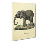 African Elephant Canvas Print | Gallery Wrapped 30mm Frame Wall Art | 24x16 inches | Ready to Hang | Modern Animals Picture | Living Room Bedroom Lounge Office