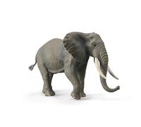 Collecta African Elephant