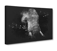African Elephant Paint Splash Canvas Print | Gallery Wrapped 30mm Frame Wall Art | 30x20 inches | Ready to Hang | Modern Animals Picture | Living Room Bedroom Lounge Office