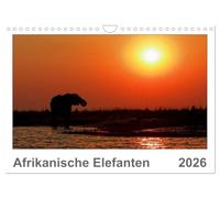 African elephants UK-Version (Wall Calendar 2026 DIN A4 Landscape), CALVENDO 12 Month Wall Calendar
