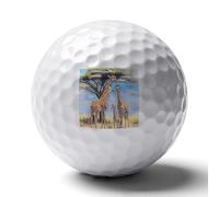 African Family of Giraffes Fashion Golf Balls Accessories for Men Women Funny Graphic Golf Ball