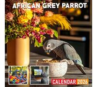 African Grey Parrot Calendar 2026: Stunning Images of Intelligent African Grey Parrots
