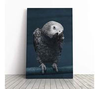 African Grey Parrot Canvas Wall Art Print 20x14 Inch