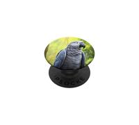 African Grey Parrot Gray Parrots Tropical Bird PopSockets Adhesive PopGrip