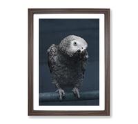 African Grey Parrot Modern Framed Print | A4 Walnut Framed Wall Art | Ready to Hang | Modern Animal Picture | Living Room Bedroom Lounge Office