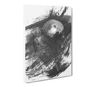African Grey Parrot V1 Canvas Print | Gallery Wrapped 30mm Frame Wall Art | 20x14 inches | Ready to Hang | Modern Animals Picture | Living Room Bedroom Lounge Office