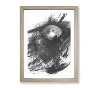 African Grey Parrot V1 Modern Framed Wall Art Print, Ready to Hang Picture for Living Room Bedroom Home Office Décor, Oak A2 (64 x 46 cm)