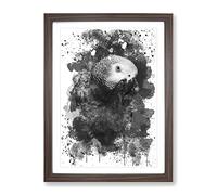 African Grey Parrot V4 Modern Framed Print | A3 Walnut Framed Wall Art | Ready to Hang | Modern Animal Picture | Living Room Bedroom Lounge Office