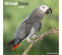 African Greys 2025 Square Wall Calendar | Bird, Parrot Calendar