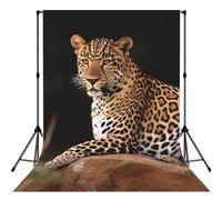 African Leopard on Rock Backdrop Background for Photography, 5x7ft | High Density Polyester Fabric, Foldable, Non Reflective Photo Backdrop Curtain For Photoshoot Background Screen, Easy Setup
