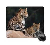African Leopard on Rock Square Mouse Pad Portable Computer Mousepad with Non-Slip Rubber Base 18 * 22cm Ultra-Thin Gaming Mouse Mat for Computer Laptop Office Desk Accessories