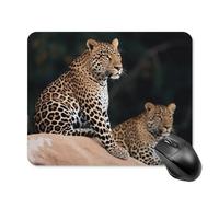 African Leopard on Rock Square Mouse Pad Portable Computer Mousepad with Non-Slip Rubber Base 20 * 25cm Ultra-Thin Gaming Mouse Mat for Computer Laptop Office Desk Accessories