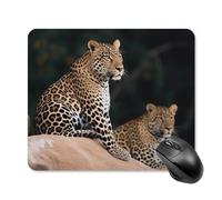 African Leopard on Rock Square Mouse Pad Portable Computer Mousepad with Non-Slip Rubber Base 25 * 30cm Ultra-Thin Gaming Mouse Mat for Computer Laptop Office Desk Accessories