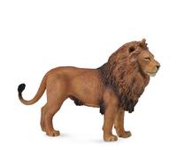 African Lion