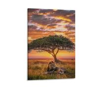 African Lion Animal Sunset Landscape Poster Canvas Wall Art Posters & Prints Paintings Wall Decor for Bedroom Living Room Decor for Mens Women Framed Unframed 08x12inch(20x30cm)