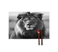 African Lion Black and White Table Mats Set of 6 Heat Resistant Non-Slip Canvas Place Mats Washable Durable Stylish for Kitchen and Dining Table Home Decorations