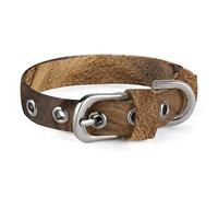 African Lion Head Pet Collar Easy Snap on Buckle Adjustable Collar with 5 Hole Positions Training Collar for Large Medium and Small Pets,Pet Supplies,Stuff,Accessories