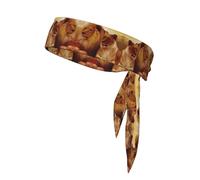 African Lion Print Sports Head Tie Bandanas - Stylish, and Comfortable Athletic Sweatbands for Running, Yoga, Cycling