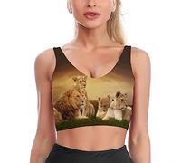 African Lions Resting at Sunset Printed Sports Bras for Women Yoga Sleelveless Crop Tops