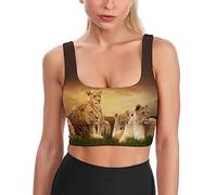 African Lions Resting at Sunset Women's Sports Bra Yoga Tank Tops Printed Padded Crop