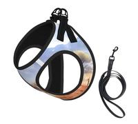 African Savanna Giraffe Print Soft Pet Harness and Leash Set, Adjustable Mesh Puppy Vest Harness for Small Large Large Dogs and Cats