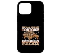 African Spurred Tortoise Case for iPhone 16 Pro Max