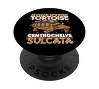 African Spurred Tortoise PopSockets Adhesive PopGrip