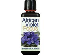 African Violet Focus 300ml
