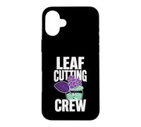 African Violet Leaf Cutting Crew Case for iPhone 16 Plus