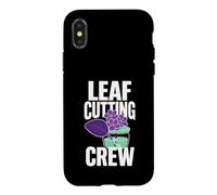African Violet Leaf Cutting Crew Case for iPhone X/XS
