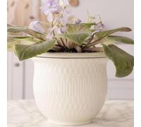 African Violet Pots Self Watering - 7in White Ceramic & Dolomite Clay - Easy & Effortless Planter Pot For Indoor Plants, Herbs, Flowers, Orchids, Succulent - Ideal Gardening Gifts, Plant Not Included