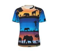 African Wild Animals 3D Print T Shirts Men Short Sleeve Mesh Round Neck Gym T-Shirt - Breathable Quick-Drying Moisture Wicking Athletic Mens Workout Tops