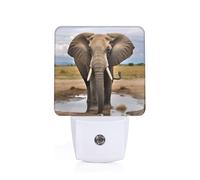 African Wild Animals Elephant Printed Led Night Light Plug in Wall with Dusk to Dawn Sensor Plug in Night Light for Hallway,Bathroom,Bedroom,Kitchen,Stairs,Acrylic Energy Efficient Night Lamp