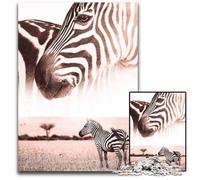 African Wild Zebra Savanna JigsawPuzzle 1000 Pieces for Adults Paper Jigsaw Puzzles for Adults Relax & Challenge Colorful Home Decor Art for Friends 1000 PCS(38x26cm)